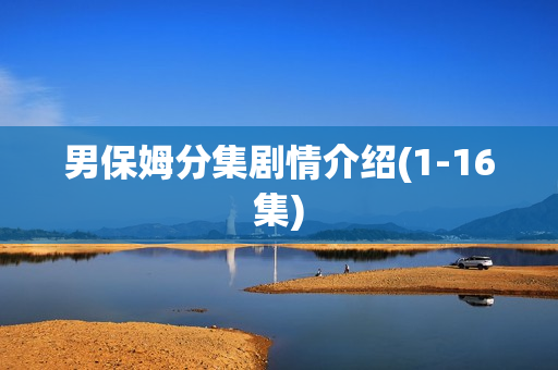 男保姆分集剧情介绍(1-16集)