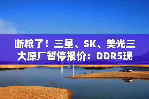 断粮了！三星、SK、美光三大原厂暂停报价：DDR5现货价一周暴涨25%