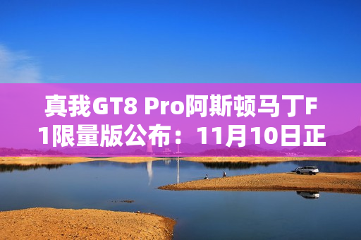 真我GT8 Pro阿斯顿马丁F1限量版公布：11月10日正式开售