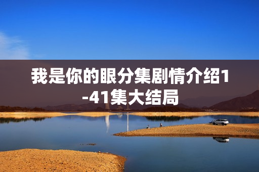 我是你的眼分集剧情介绍1-41集大结局