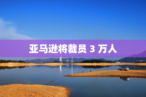 亚马逊将裁员 3 万人