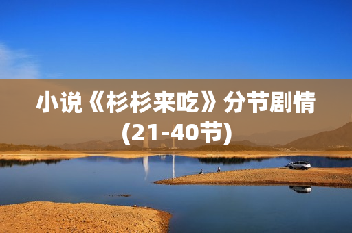 小说《杉杉来吃》分节剧情(21-40节)