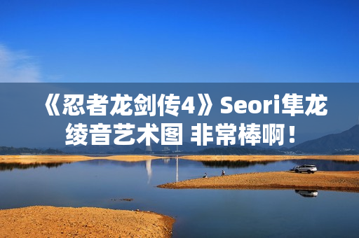 《忍者龙剑传4》Seori隼龙绫音艺术图 非常棒啊！