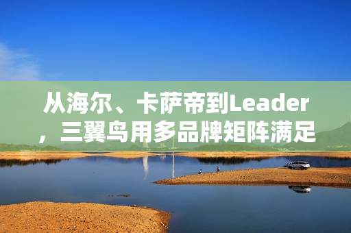 从海尔、卡萨帝到Leader，三翼鸟用多品牌矩阵满足中国家庭需求