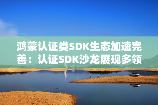 鸿蒙认证类SDK生态加速完善：认证SDK沙龙展现多领域伙伴创新成果