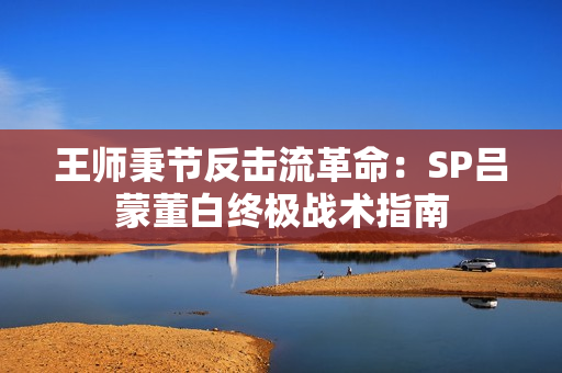 王师秉节反击流革命：SP吕蒙董白终极战术指南