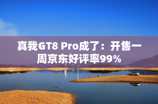 真我GT8 Pro成了：开售一周京东好评率99%