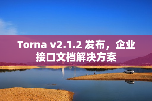 Torna v2.1.2 发布，企业接口文档解决方案