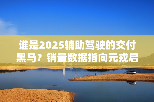 谁是2025辅助驾驶的交付黑马？销量数据指向元戎启行