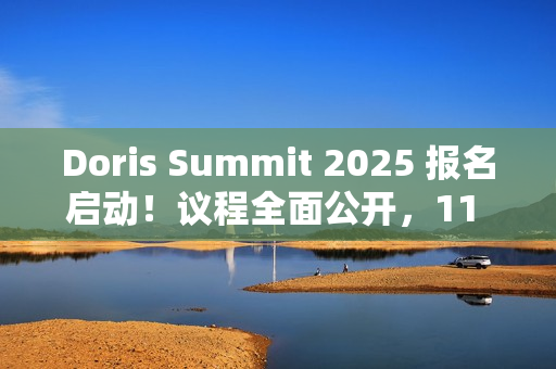 Doris Summit 2025 报名启动！议程全面公开，11 月 5-6 日敬请关注