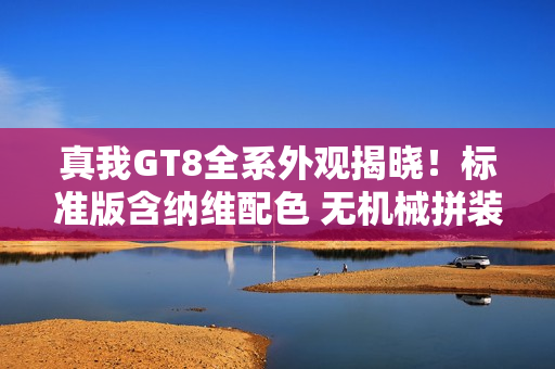 真我GT8全系外观揭晓！标准版含纳维配色 无机械拼装