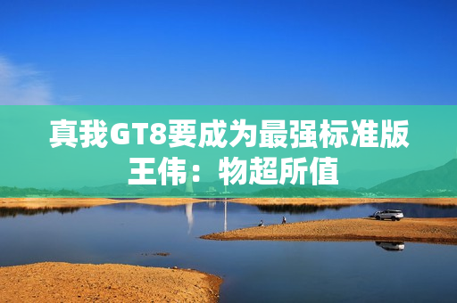 真我GT8要成为最强标准版 王伟：物超所值