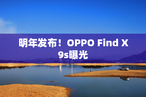 明年发布！OPPO Find X9s曝光