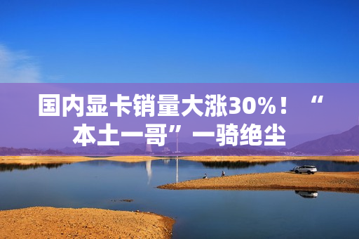 国内显卡销量大涨30%！“本土一哥”一骑绝尘