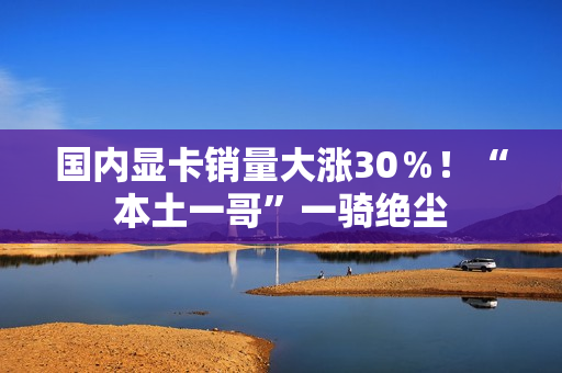 国内显卡销量大涨30％！“本土一哥”一骑绝尘