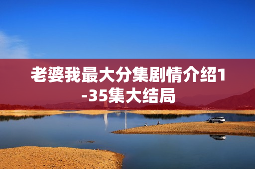 老婆我最大分集剧情介绍1-35集大结局