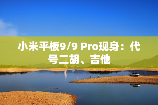 小米平板9/9 Pro现身：代号二胡、吉他