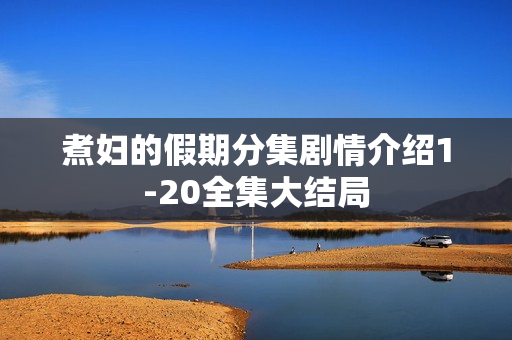 煮妇的假期分集剧情介绍1-20全集大结局