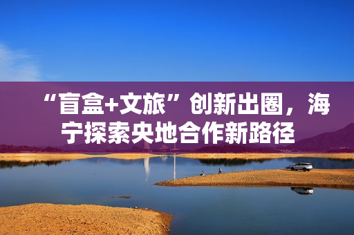 “盲盒+文旅”创新出圈，海宁探索央地合作新路径