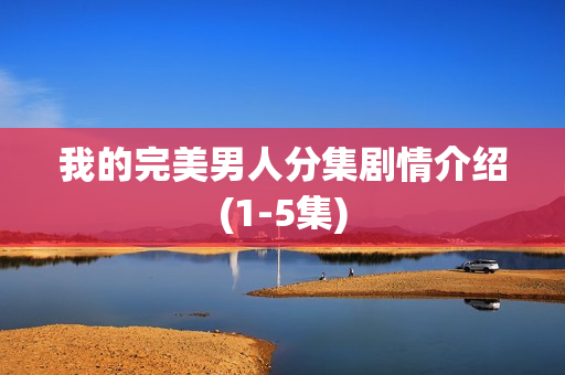 我的完美男人分集剧情介绍(1-5集)