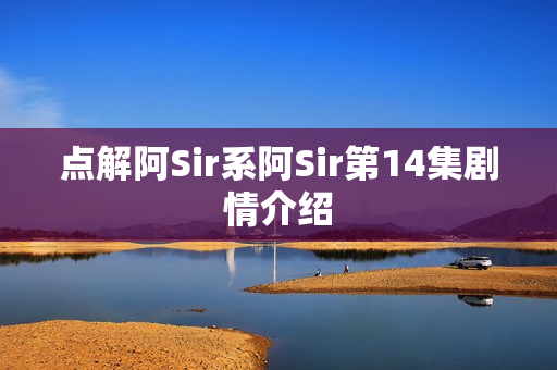 点解阿Sir系阿Sir第14集剧情介绍