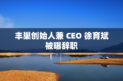 丰巢创始人兼 CEO 徐育斌被曝辞职