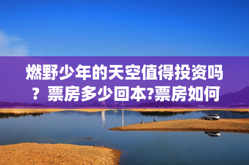 燃野少年的天空值得投资吗？票房多少回本?票房如何分账的?(燃野少年的天空演员表介绍)