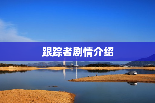 跟踪者剧情介绍