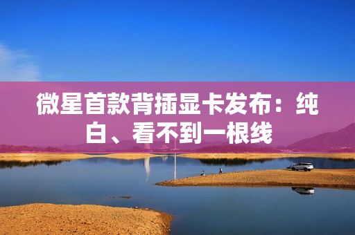 微星首款背插显卡发布：纯白、看不到一根线