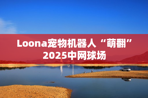 Loona宠物机器人“萌翻”2025中网球场