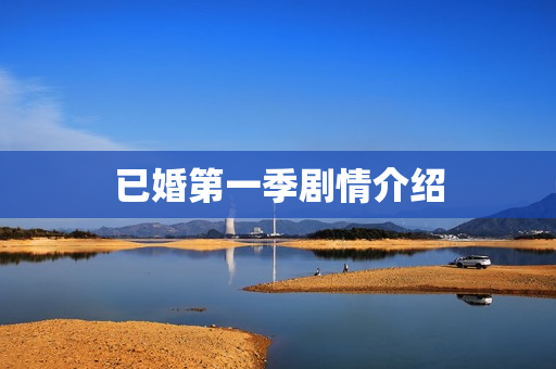 已婚第一季剧情介绍