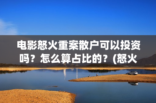 电影怒火重案散户可以投资吗？怎么算占比的？(怒火重案原版)