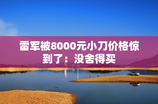 雷军被8000元小刀价格惊到了：没舍得买