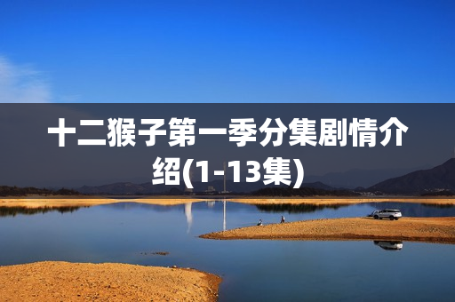 十二猴子第一季分集剧情介绍(1-13集)