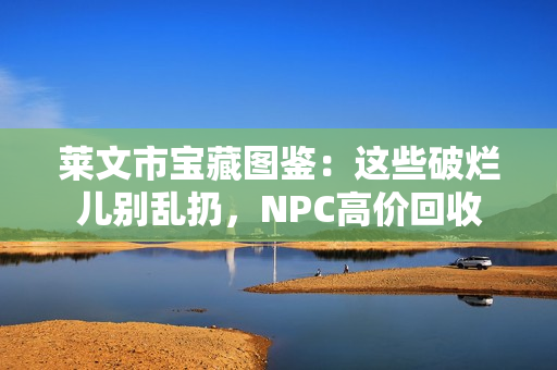 莱文市宝藏图鉴：这些破烂儿别乱扔，NPC高价回收