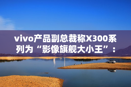 vivo产品副总裁称X300系列为“影像旗舰大小王”：没有标准版