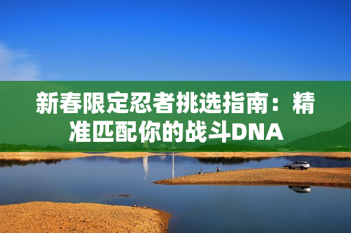 新春限定忍者挑选指南：精准匹配你的战斗DNA