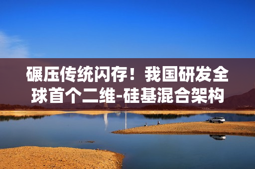 碾压传统闪存！我国研发全球首个二维-硅基混合架构闪存芯片