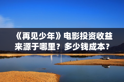 《再见少年》电影投资收益来源于哪里？多少钱成本？(再见少年演的啥)