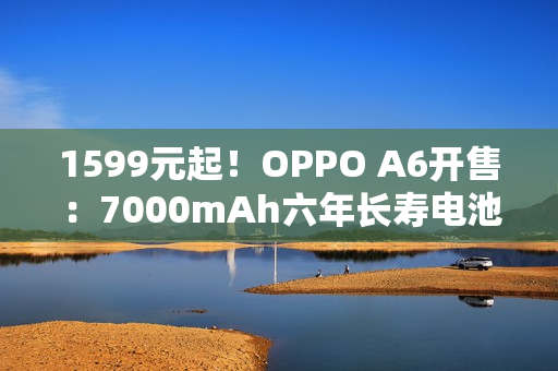 1599元起！OPPO A6开售：7000mAh六年长寿电池、IP69满级防水