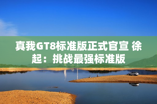 真我GT8标准版正式官宣 徐起：挑战最强标准版