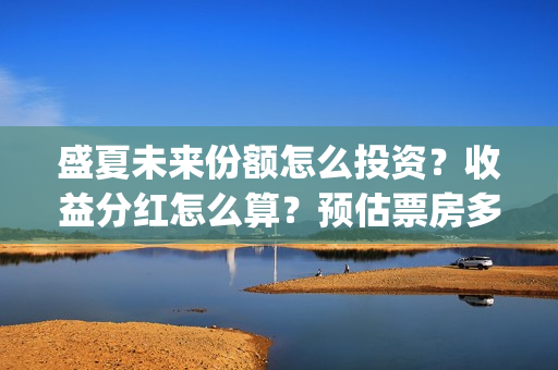 盛夏未来份额怎么投资？收益分红怎么算？预估票房多少？(盛夏未来总投资)