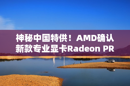 神秘中国特供！AMD确认新款专业显卡Radeon PRO W7900D