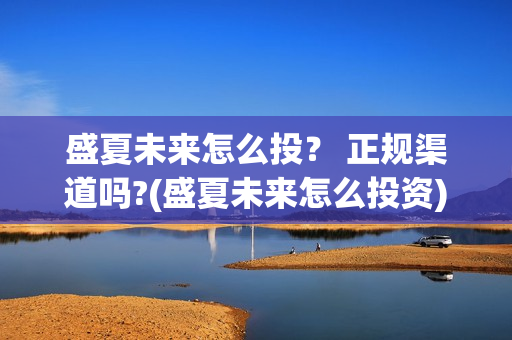 盛夏未来怎么投？ 正规渠道吗?(盛夏未来怎么投资)