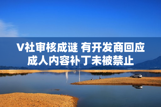 V社审核成谜 有开发商回应成人内容补丁未被禁止