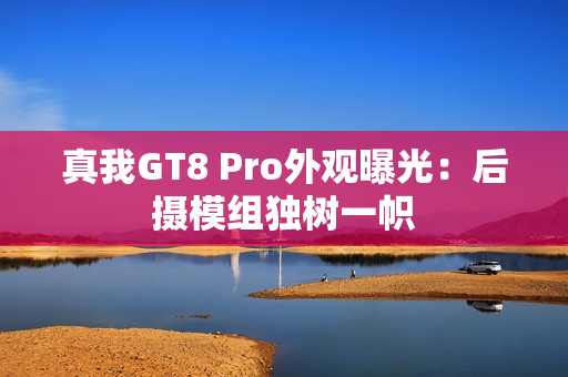 真我GT8 Pro外观曝光：后摄模组独树一帜