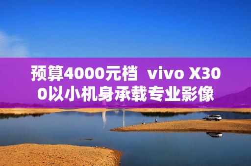 预算4000元档  vivo X300以小机身承载专业影像