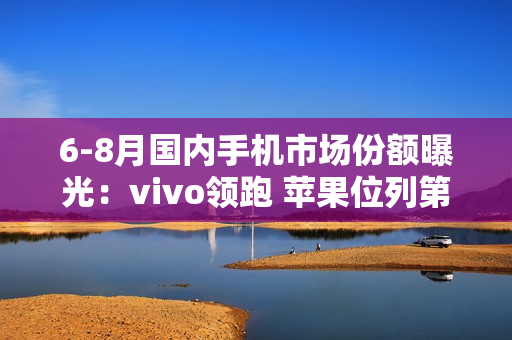 6-8月国内手机市场份额曝光：vivo领跑 苹果位列第六