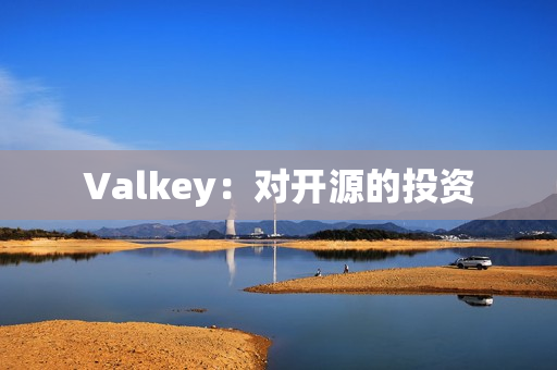 Valkey：对开源的投资