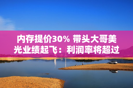 内存提价30% 带头大哥美光业绩起飞：利润率将超过50%